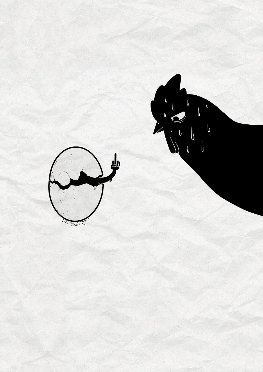 painting, creativity, nature, imagination, chicken, animal, egg, rebellion, child, adolescence