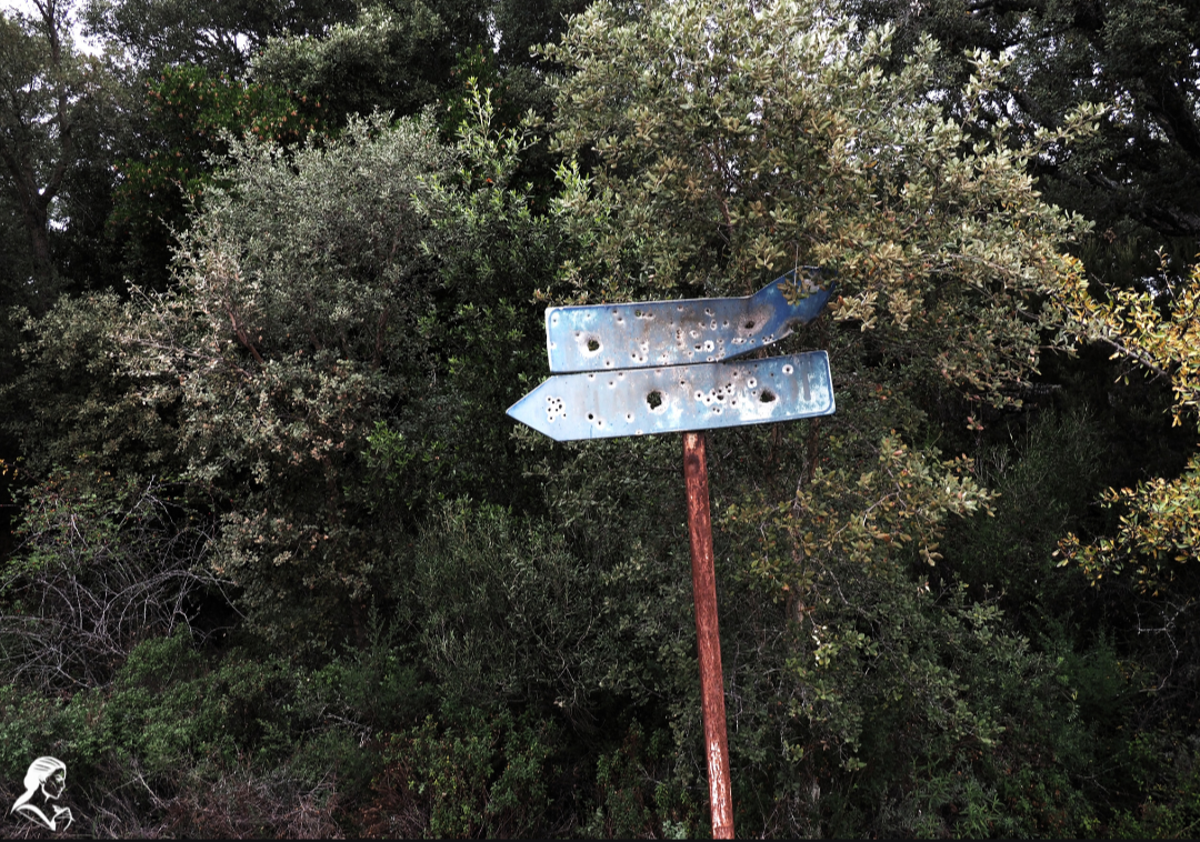 Sulla provinciale tra Alà dei Sardi e Concas.